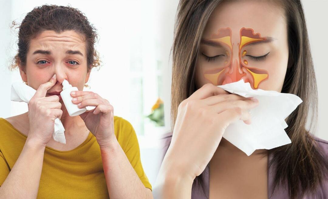 Was hilft bei verstopfter Nase? Eine drogenfreie Lösung gegen verstopfte Nase!