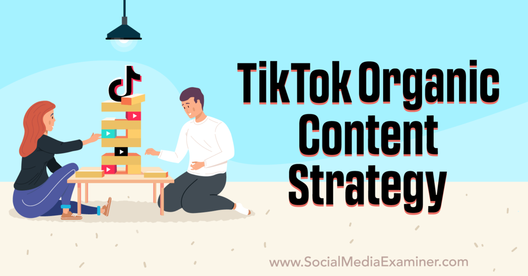 TikTok-Strategie für organische Inhalte: Social Media-Prüfer
