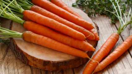 Wie züchtet man zu Hause Karotten in Töpfen? Karottenanbaumethoden in Töpfen