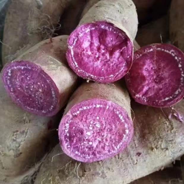 die Vorteile von Süßkartoffeln (in China angebaut)