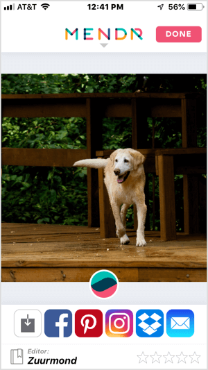 Mit mobilen Apps wie Mendr können Sie Ihr Foto herunterladen oder in sozialen Medien teilen.
