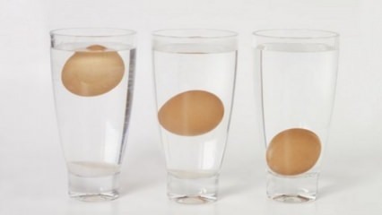 Wie man abgestandene Eier versteht?