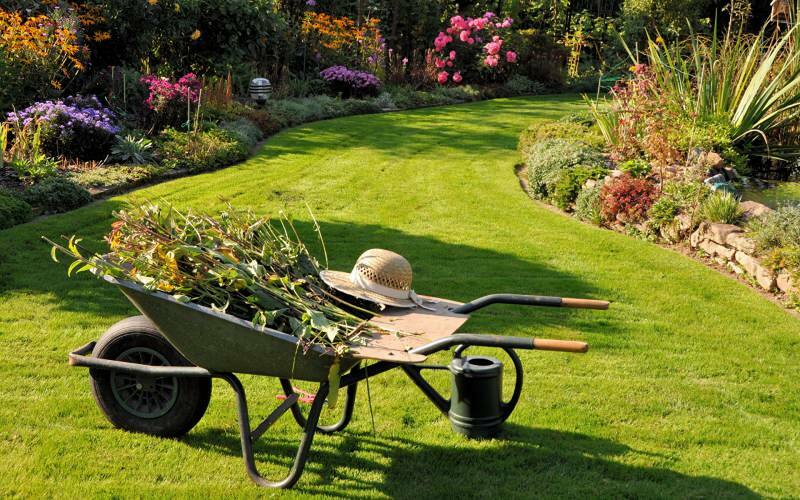 Wie erfolgt die Gartenreinigung? Vorschläge zur Gartenreinigung und Bestellung!