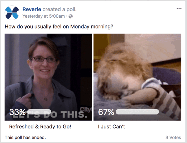 Facebook GIF Umfrage zeigen menschliche Seite