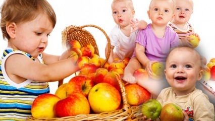 Welche Früchte sollten Babys gegeben werden? Obstkonsum und -menge während der Ergänzungsfutterperiode