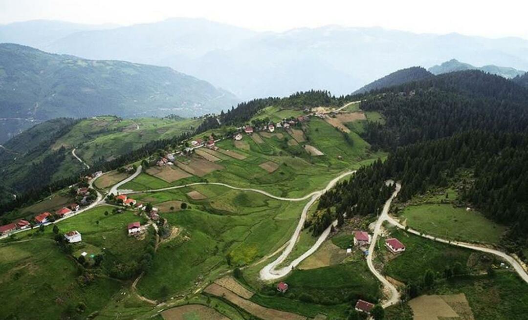 Wo liegt das Çambaşı-Plateau? Wie komme ich zum Çambaşı-Plateau?