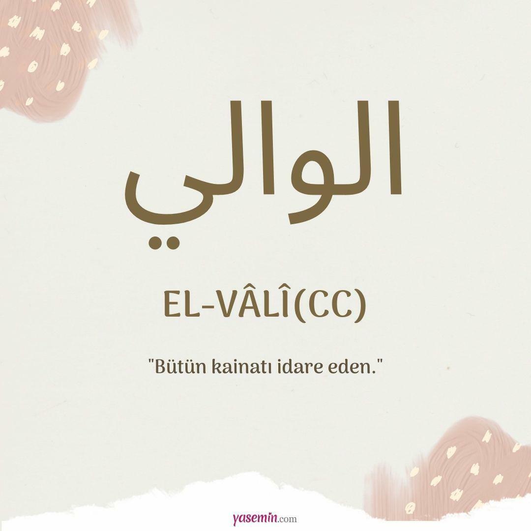 Was bedeutet al-Vali (c.c.)?