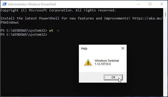 Version des Windows-Terminals