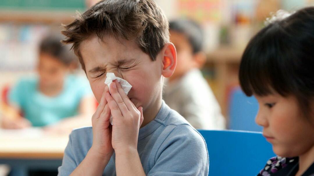 saisonale Grippe