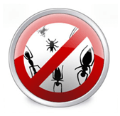 Installieren Sie Anti-Virus, um Fehler und Nasy-Virus-Code zu beseitigen!