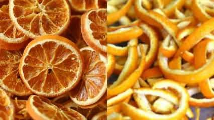 Wie wird die Orange getrocknet? Trocknungsmethoden für Gemüse und Obst zu Hause