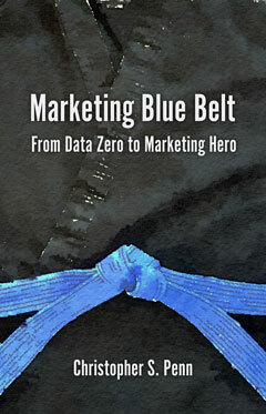 Marketing Blue Belt Buchcover