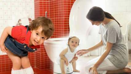 Wie Windeln auf Kinder legen? Wie sollen Kinder die Toilette putzen? Toiletten-Training..
