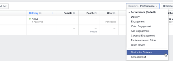 Facebook Insights Leinwand Spalten