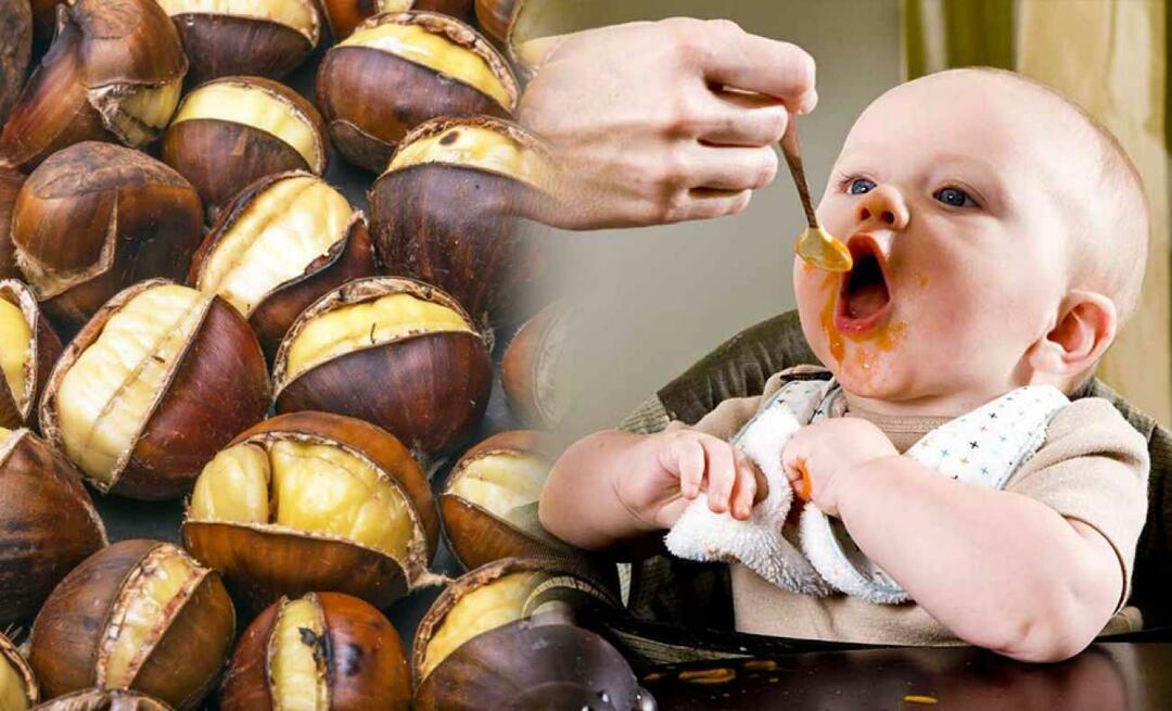 Können Babys Kastanien essen? Wie macht man Kastanienpudding?
