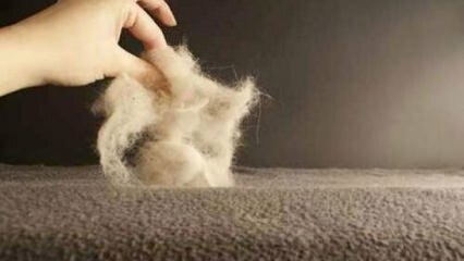 Tricks der Teppichreinigung 