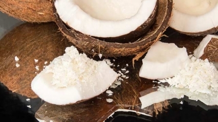 Wie Kokosnuss zu schneiden ist am praktischsten?