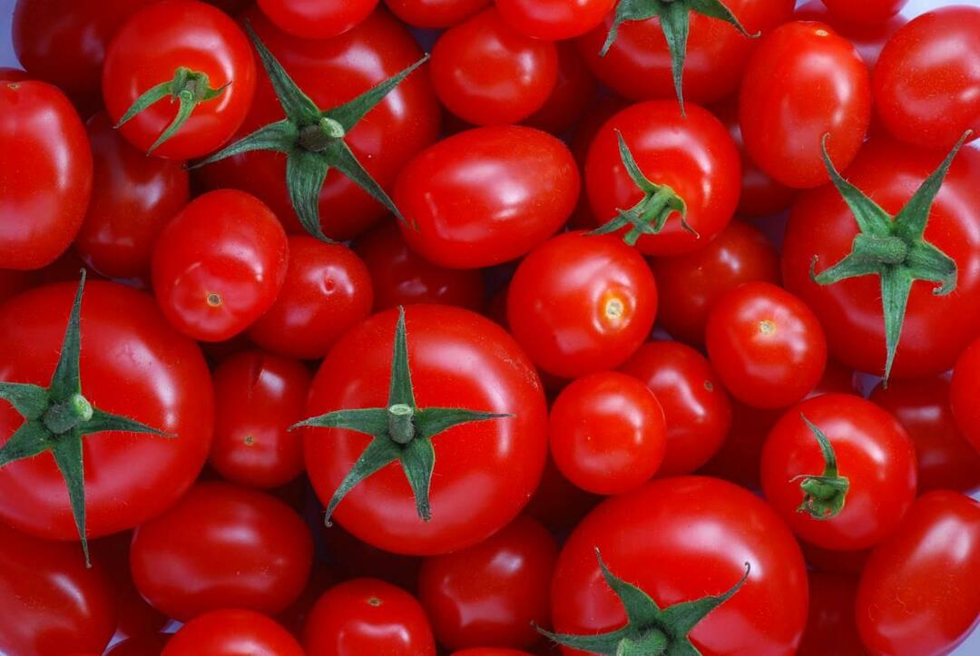 So wählen Sie Menemenlik-Tomaten aus