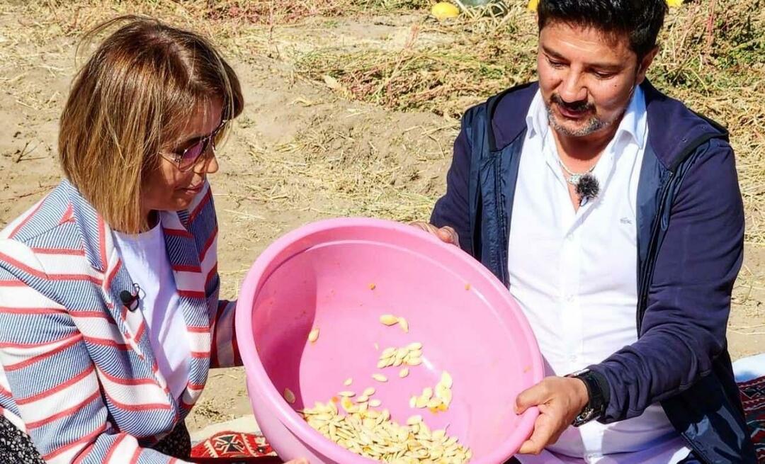 Kürbiskerne für Snacks wurden in Nevşehir geerntet!