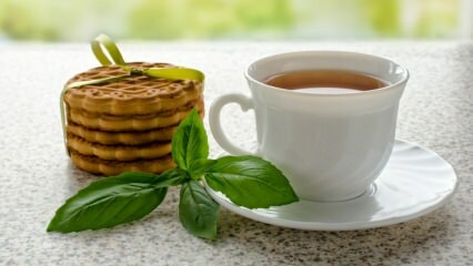 Was sind die Vorteile von Basilikum? Wie macht man Basilikum Tee?