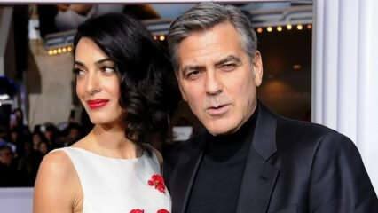 Das Traumpaar George Clooney und Clooney Alamuddin lassen sich scheiden!