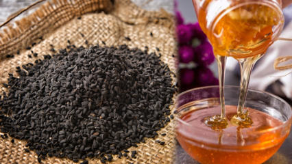 Was sind die Vorteile von Nigella? Was macht Schwarzkümmelöl? Wenn Sie Schwarzkümmel in Honig mischen und essen ...