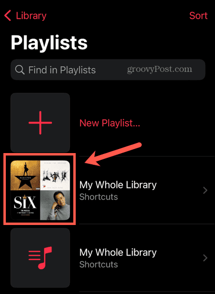 Apple Music gesamte Musik-Playlist