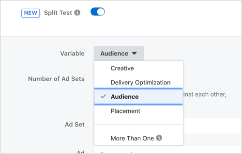 Wählen Sie eine Variable zum Testen mit der Facebook-Split-Testfunktion aus.