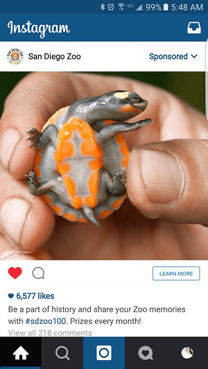 Zoo Instagram Anzeige