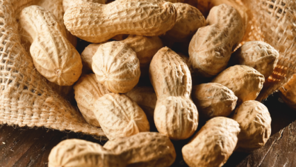 Was sind die Vorteile von Erdnüssen? Für welche Krankheiten sind Erdnüsse gut?