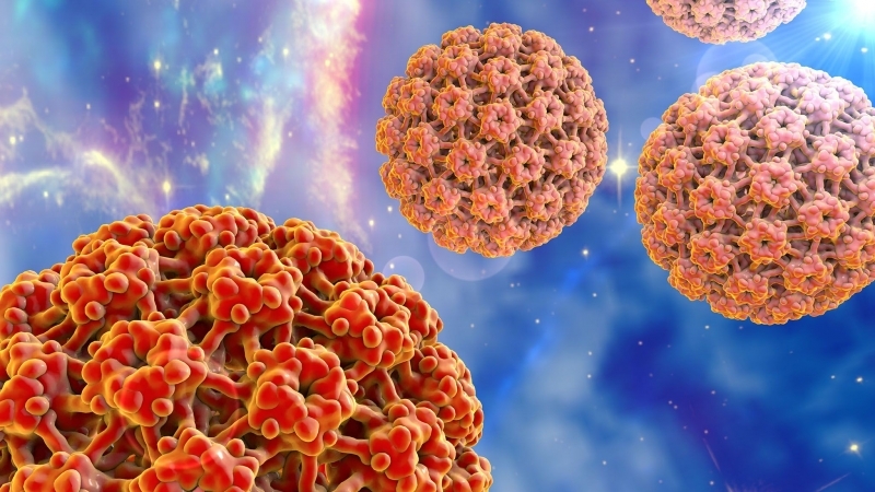 Warzen werden durch einen Herpes namens HPV verursacht