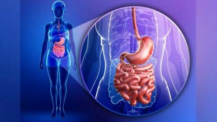 Was ist ein Leaky-Gut-Syndrom? Was sind die Symptome des Leaky Bowel-Syndroms?