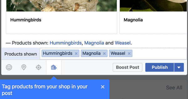 Fügen Sie Produktlinks aus Ihrem Facebook-Shop hinzu.