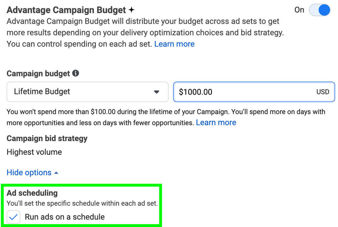 wie-man-anrufanzeigen-für-facebook-schaltet-erstelle-einen-plan-schalte-anzeigen-auf-einem-planlue-box-enable-advantage-campaign-budget-ad-planing-example-6