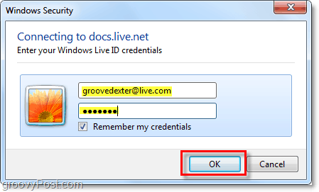 Geben Sie den Benutzernamen und das Kennwort Ihres Windows Live-Kontos in Microsoft Office 2010 ein