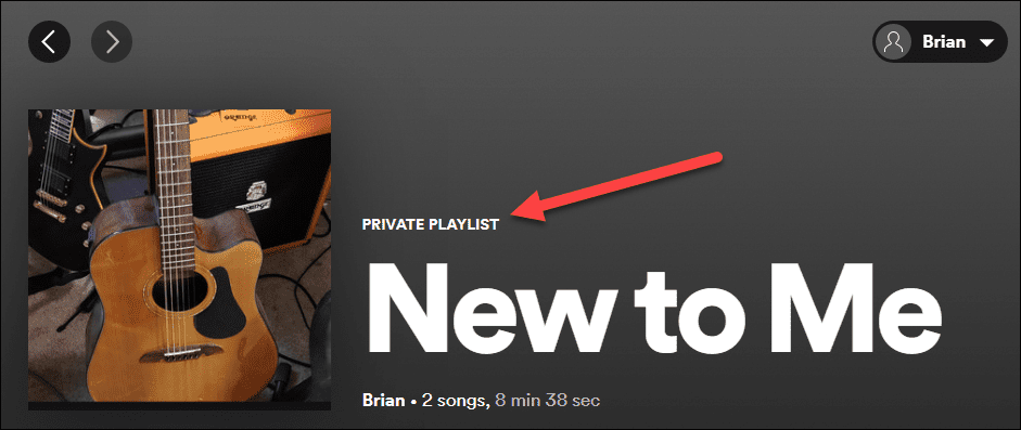 Machen Sie eine Playlist auf Spotify privat
