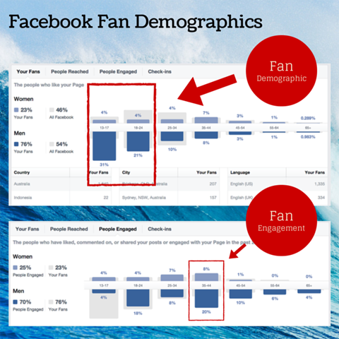 demografisches Diagramm der Facebook-Fans