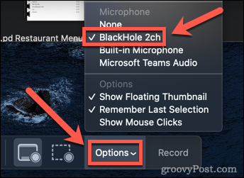Wählen Sie Audiooptionen auf dem Mac