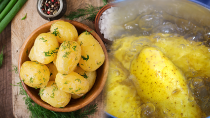 Wie wird die Kartoffel gekocht? Die Spitzen von Salzkartoffeln