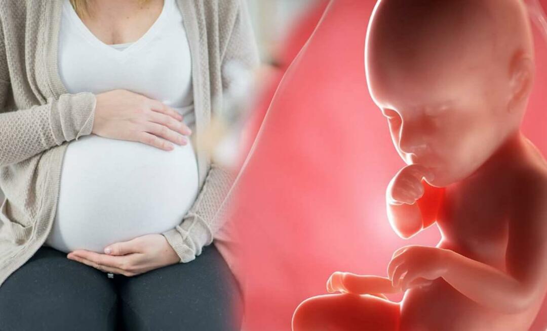 Wie erhalten Babys während der Schwangerschaft Nährstoffe von der Mutter? Wie man das Baby im Mutterleib von der Mutter ernährt