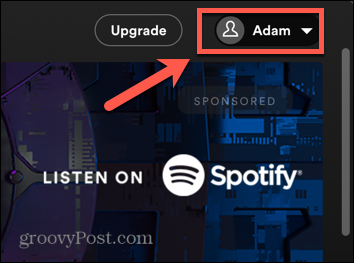 Spotify-Desktop-Profil