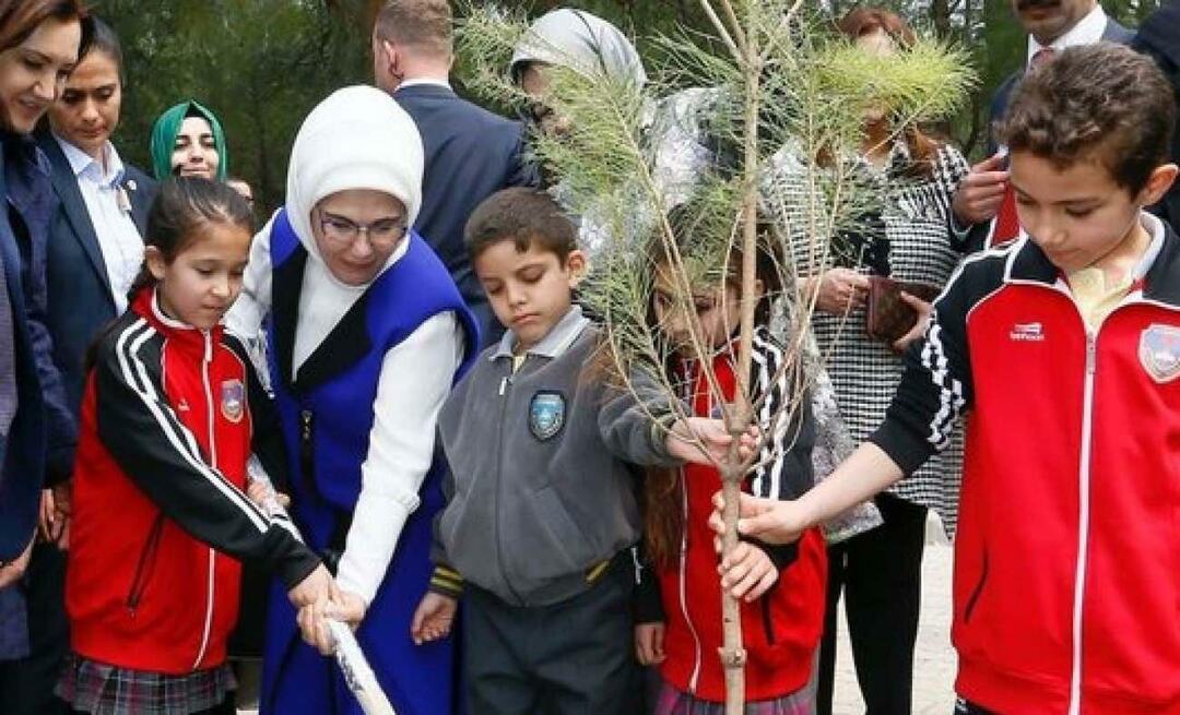 Beitrag zum Nationalen Aufforstungstag von First Lady Erdoğan