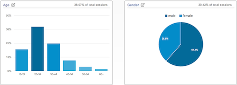 Demografie der Google Analytics-Daten