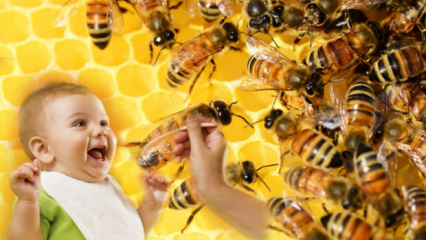 Wie soll Babys mit Honig behandelt werden? Was sollte nicht vor dem Alter von 1 gegeben werden
