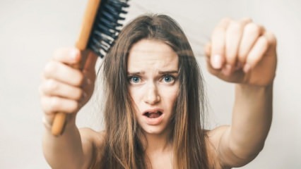 Was sind die Lebensmittel, die Haarausfall verhindern?
