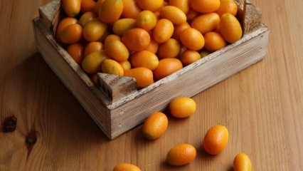 Was sind die Vorteile von Kumquat (Kumkat)? Für welche Krankheiten ist Kumquat gut? Wie wird Kumquat konsumiert?