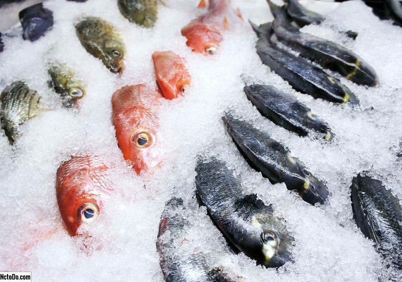 So lagern Sie Fisch im Gefrierschrank