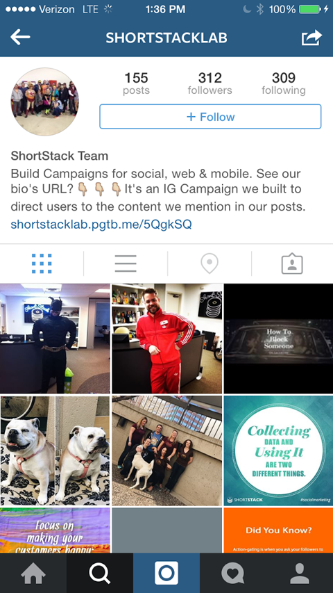Shortstach Instagram Contest Link Bild