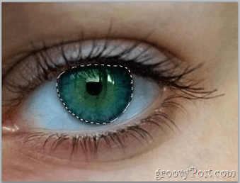 Adobe Photoshop-Grundlagen - Menschliches Auge Augenebene auswählen