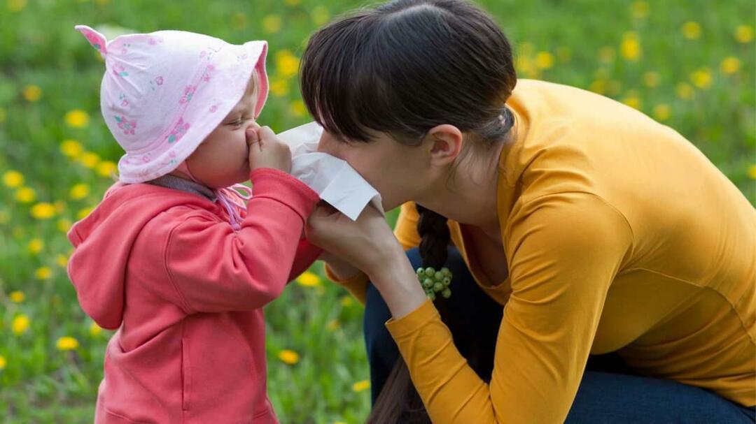 Was ist eine saisonale Allergie bei Kindern? Vermischt es sich mit Kälte? Was ist gut bei saisonalen Allergien?